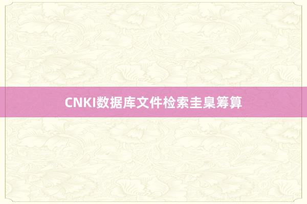 CNKI数据库文件检索圭臬筹算